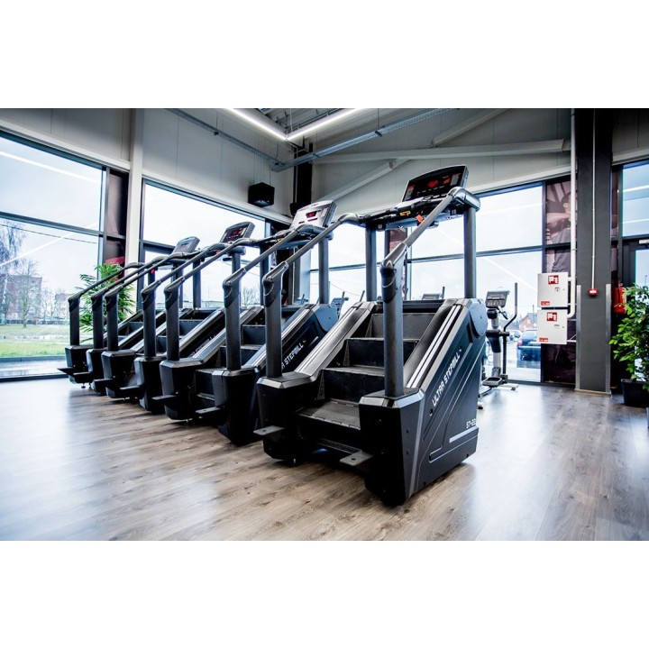 DK City laiptinis treniruoklis ST-22.1