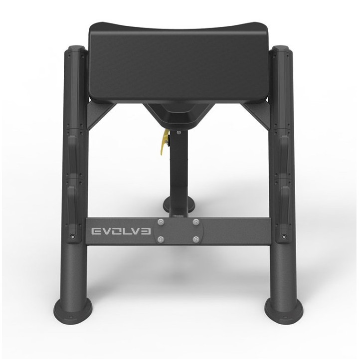 Evolve Prime serijos bicepsų treniravimo suoliukas, PR-206
