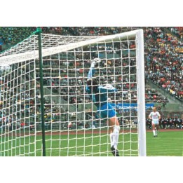 Manfred Huck futbolo vartų tinklas 4 mm 7.32 x 2.45 m 200 x 200 cm