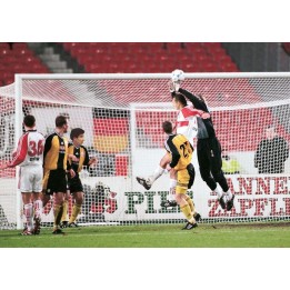 Manfred Huck futbolo vartų tinklas 4 mm 7.32 x 2.45 m 200 x 200 cm 60 mm kvadratinis raštas