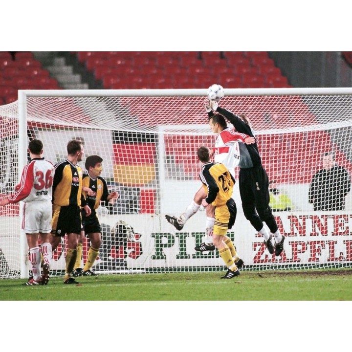 Manfred Huck futbolo vartų tinklas 4 mm 7.32 x 2.45 m 200 x 200 cm 60 mm kvadratinis raštas
