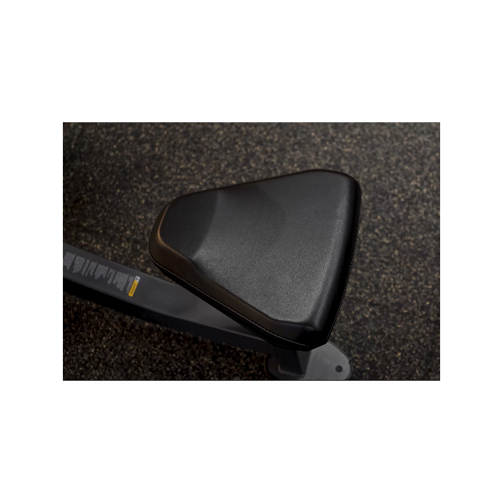 Evolve Prime serijos bicepsų treniravimo suoliukas, PR-206