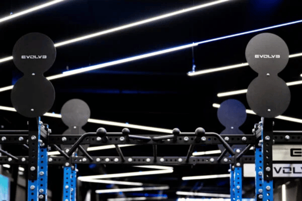 EVOLVE Wall Ball Target priedas