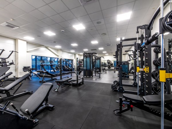 Palangos baseino sporto klubas, Palanga, 2020