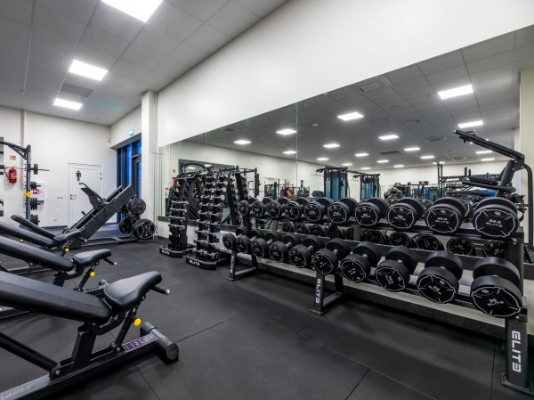 Palangos baseino sporto klubas, Palanga, 2020