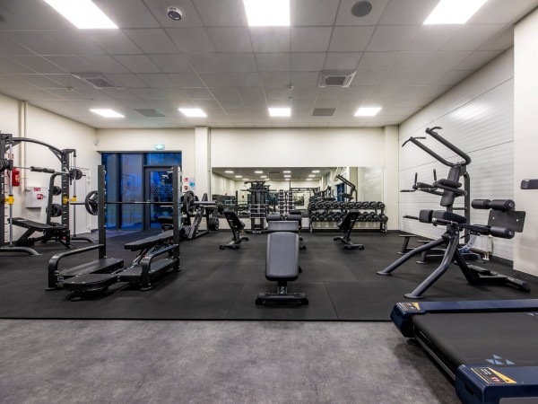 Palangos baseino sporto klubas, Palanga, 2020