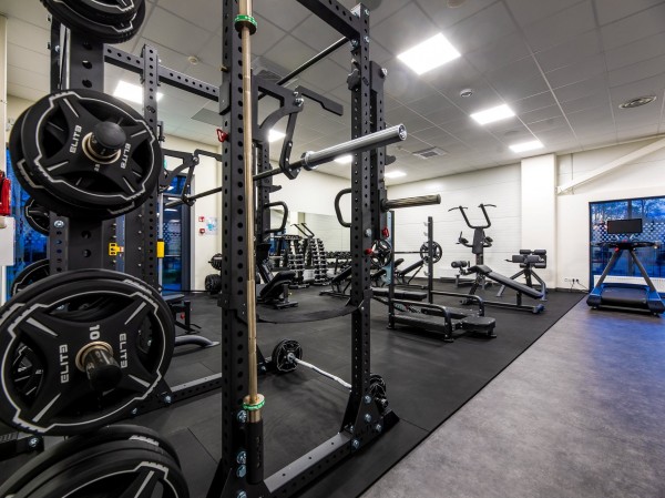 Palangos baseino sporto klubas, Palanga, 2020