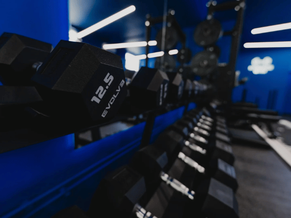 „Myspace Gym“ sporto klubas, Vsetín, Čekija 2026